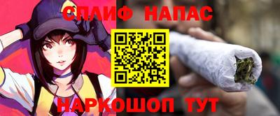 МДПВ Пенза
