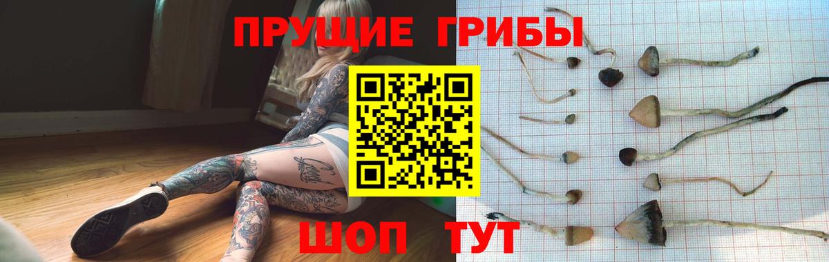 Галлюциногенные грибы ЛСД  Вход с VPN  Сунжа  Псилоцибиновые грибы ЛСД 
